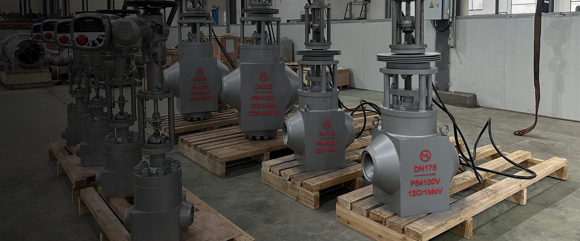 Industrial Steam Control Equipment Manufacturer